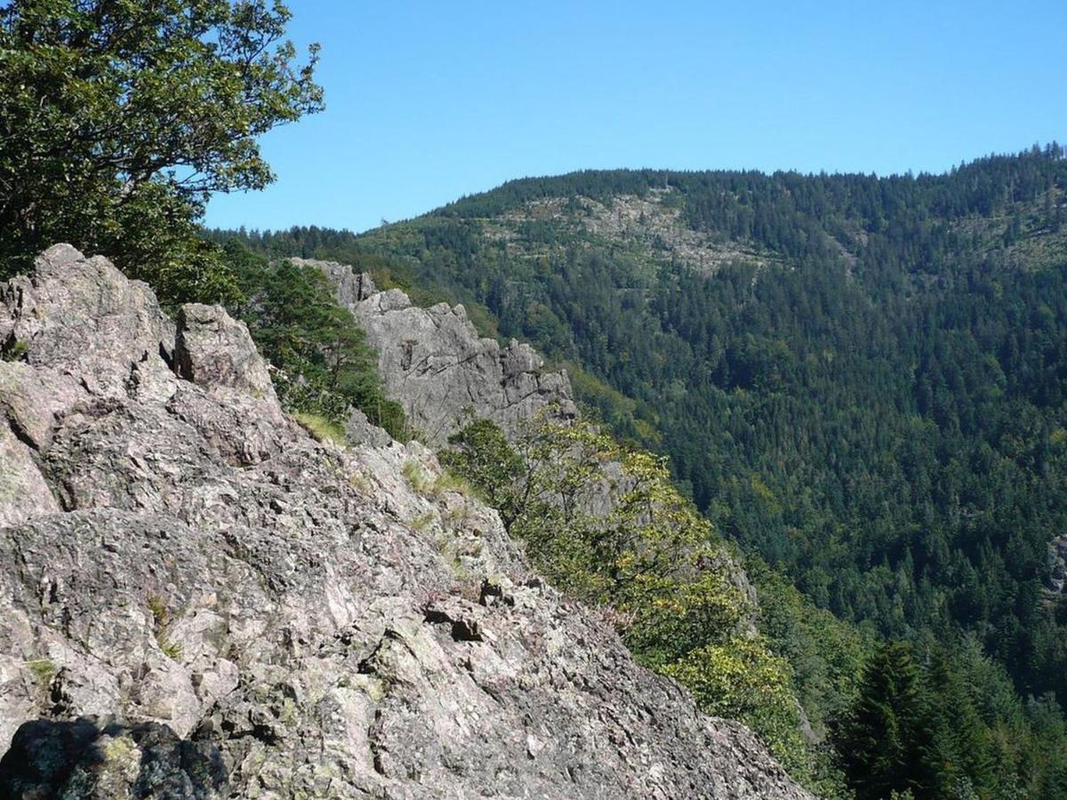 Sylvianne * Ottenhofen im Schwarzwald